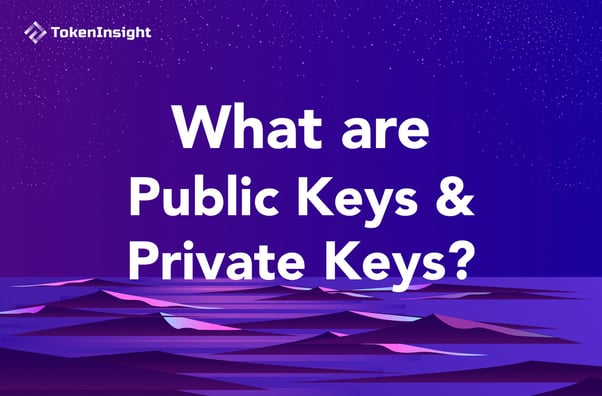 什么是公钥和私钥 Public Keys and Private Keys